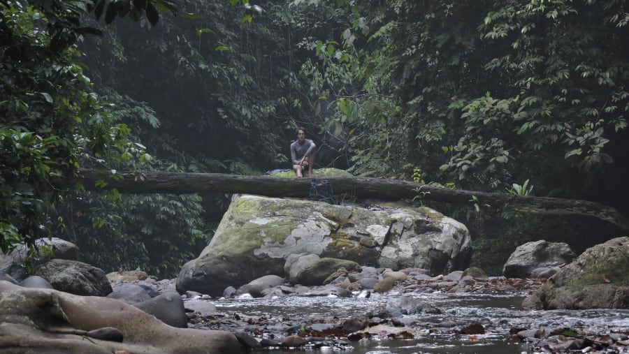 Learn to survive in the wild