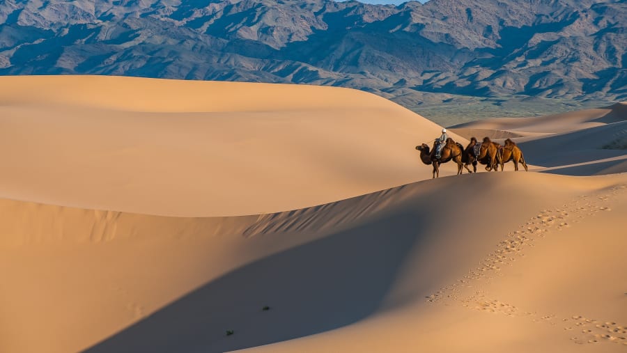 Climb the Khongor Sand Dunes