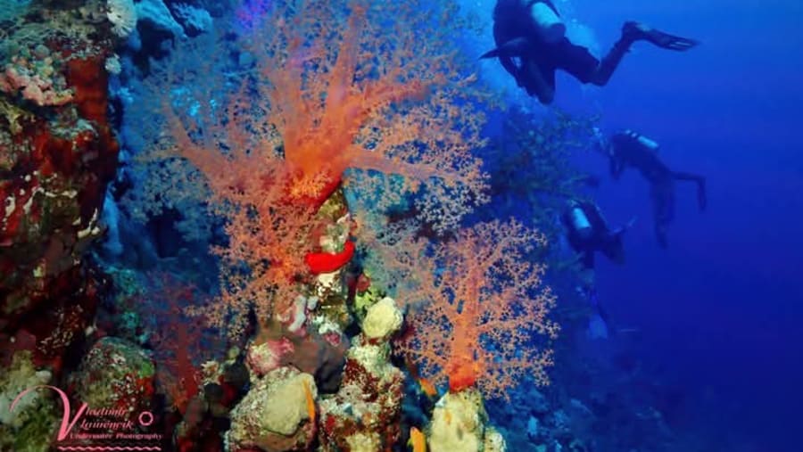 Scuba diving