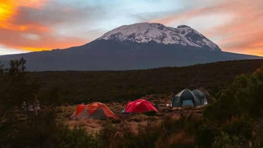 Camping Adventure