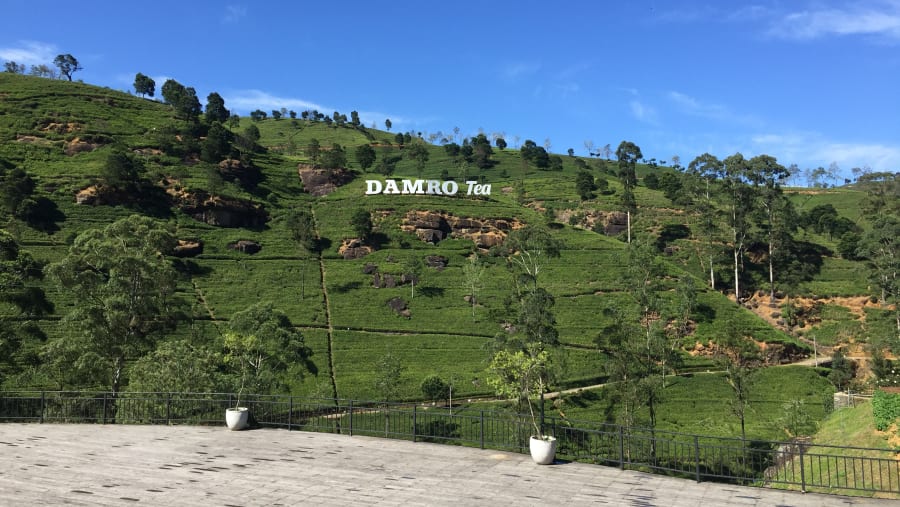 Damro Tea