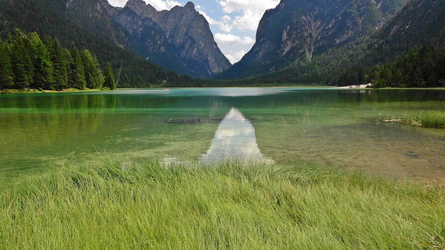 Toblach