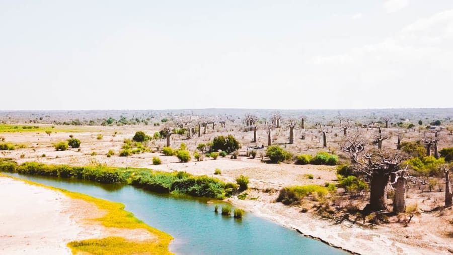 Madagascar Tour