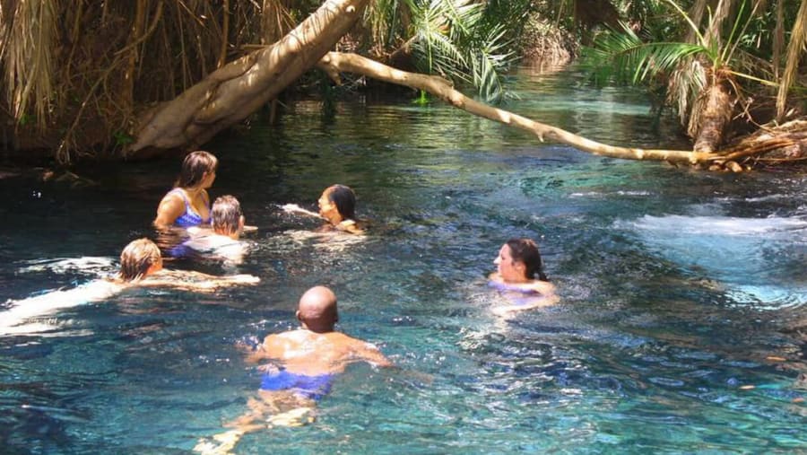 Tanzania Bliss Day Trip