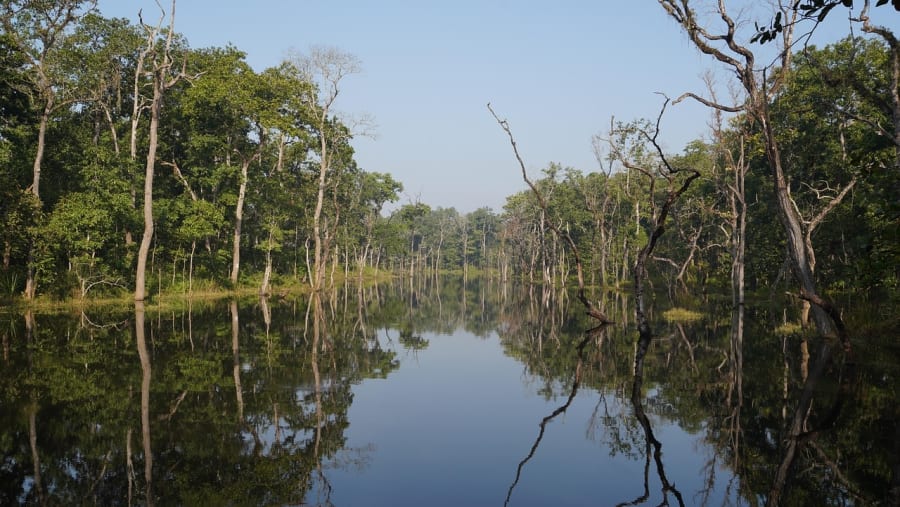 Chitwan National Park