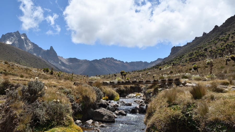 Mount Kenya