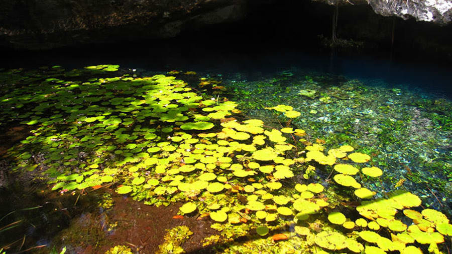 Natural Reserves