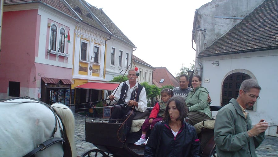 horse-drawn carriages