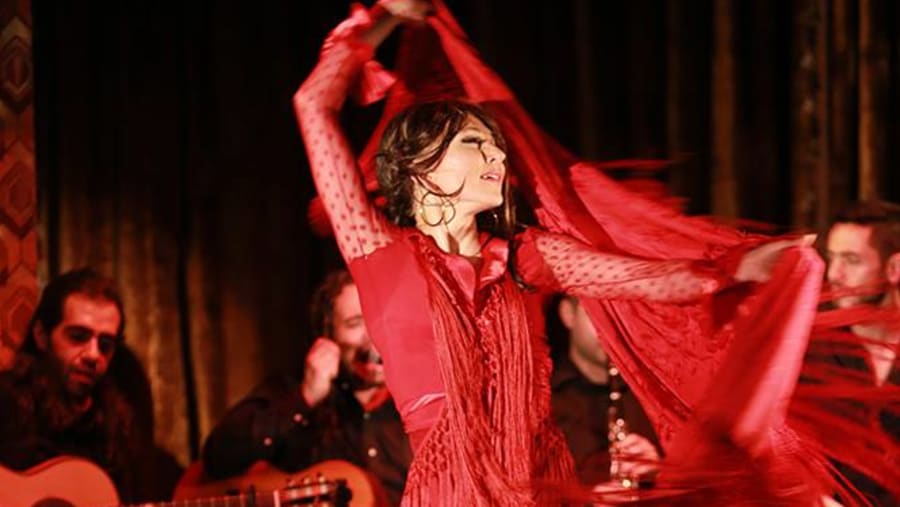 Flamenco Dance Show