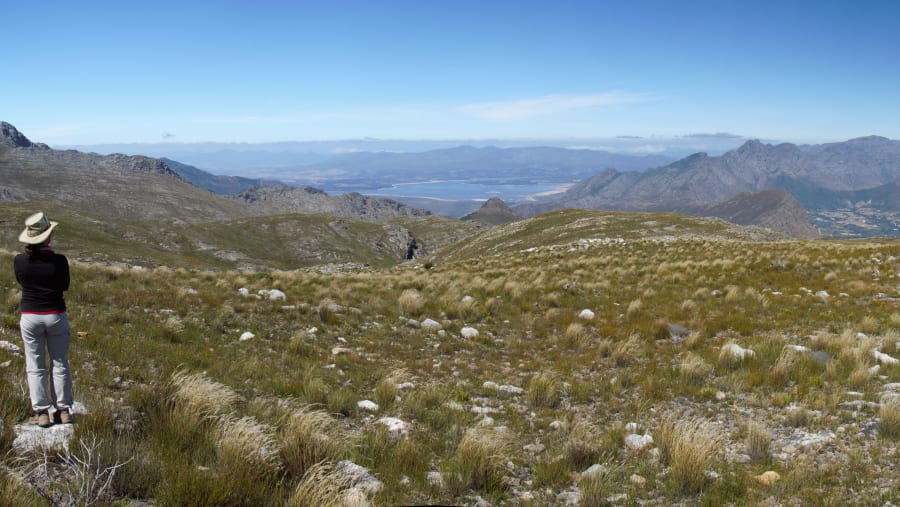 Mont Rochelle Nature Reserve, South Africa