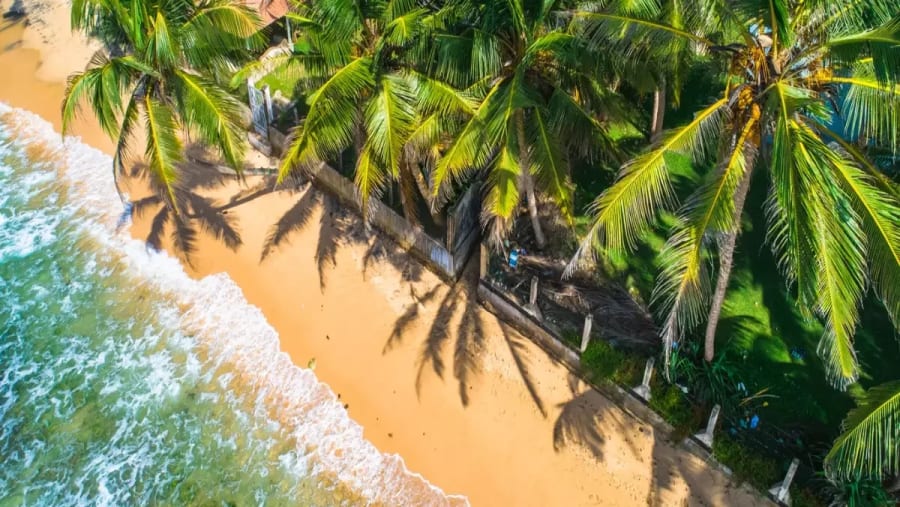 Explore Sri Lanka, "the Pearl of the Indian Ocean"