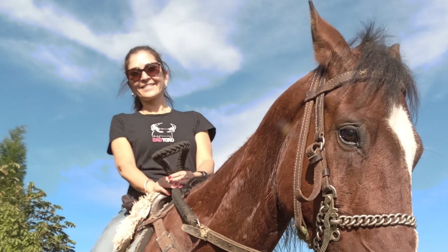 Horses