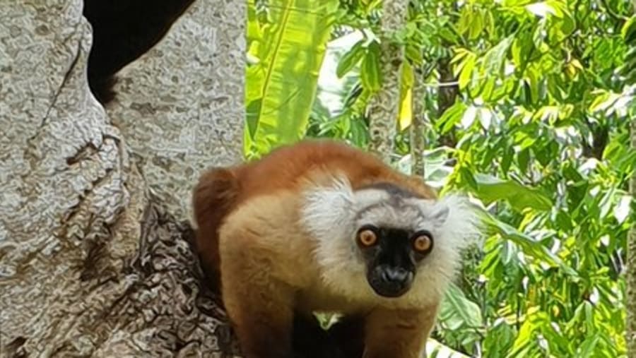 Tour from Antsiranana to Nosy BE