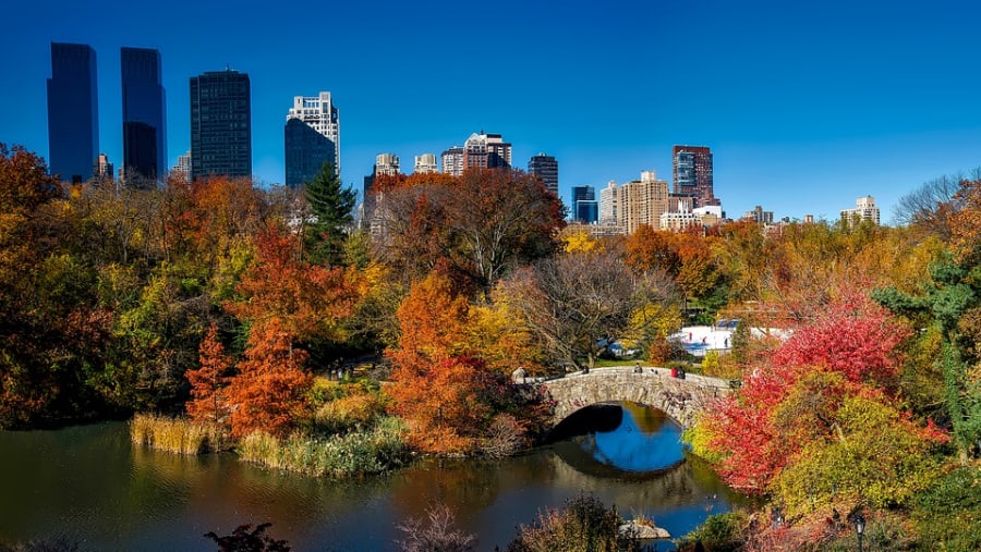 Enjoy exploring Central Park in New York