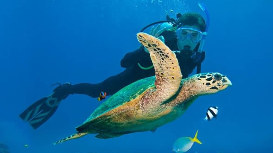 Underwater activity