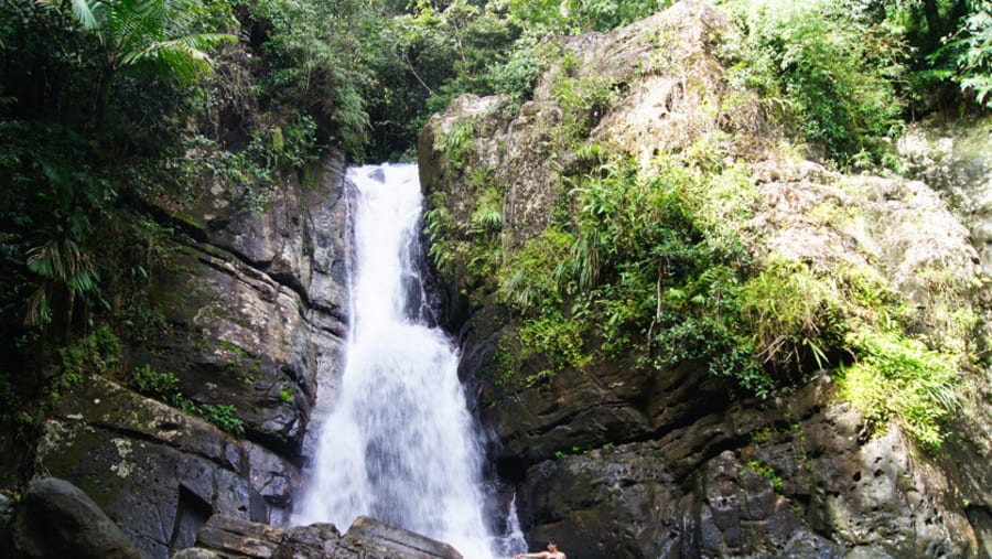 La Mina Falls in El Yunque Rainforest