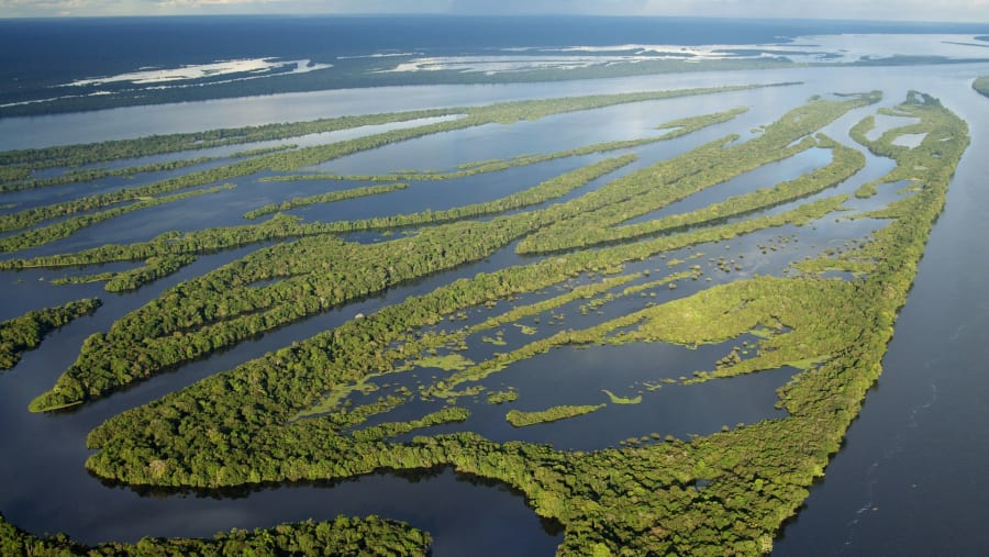 Black River, Jamaica