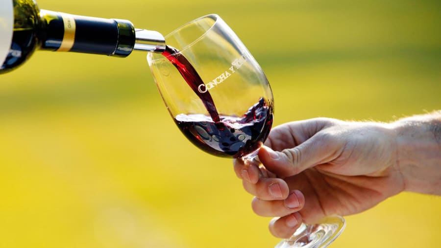 Taste Local Wine