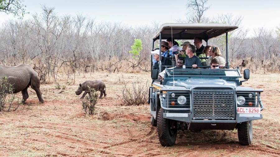 Sighting Rhinos in Zambezi National Park