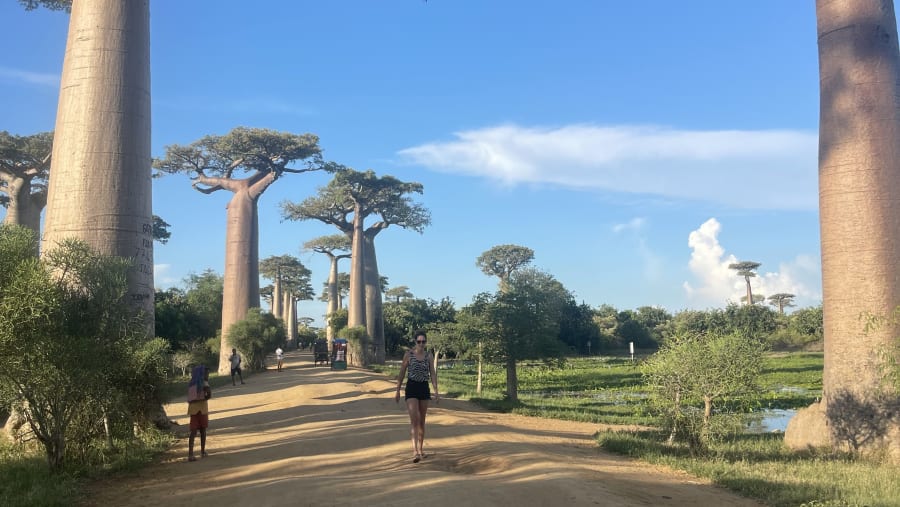 Avenue of the Baobabs