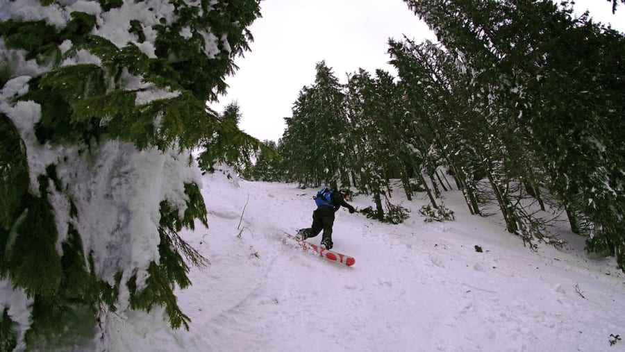 Snowboarding in Carpathian Mountains