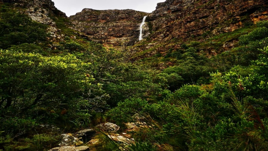Waterfall at Jonkershoek Valley