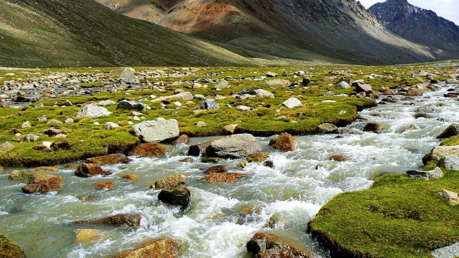 Trans-Himalayan Trek
