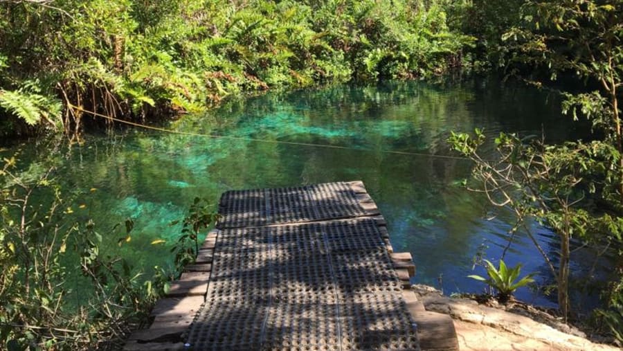 Jump into the Cenote