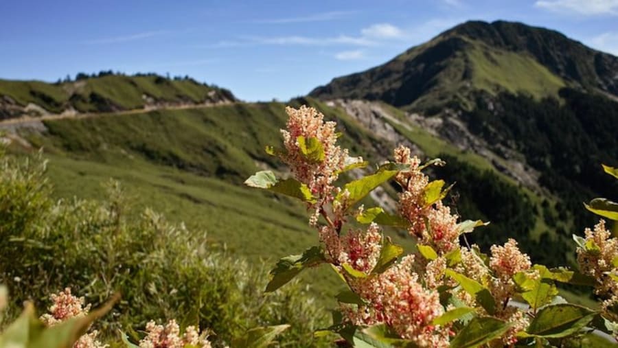 Admire the views of mountains and grasslands