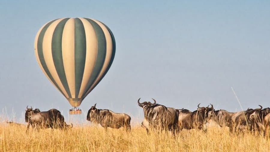 Balloon Safari