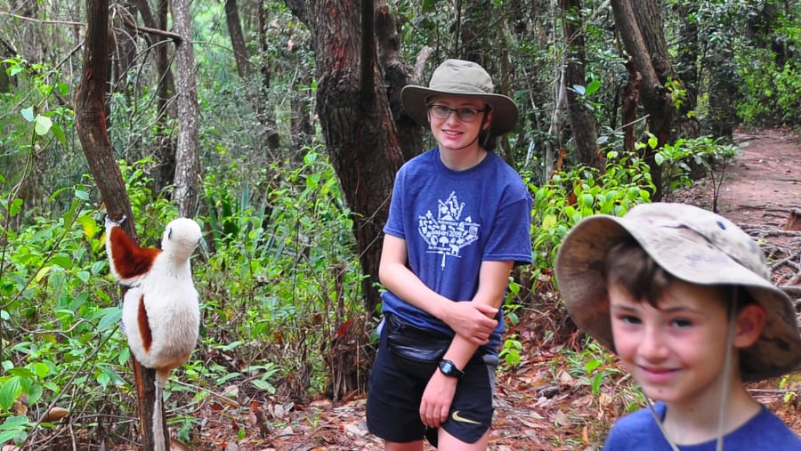 Wildlife spotting in Andasibe Park