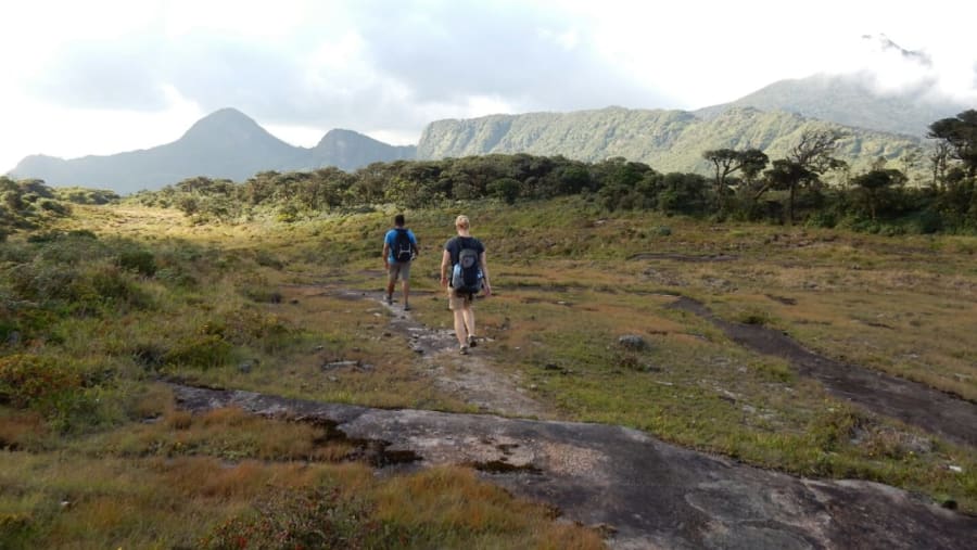 Enjoy an Exhilarating Trek