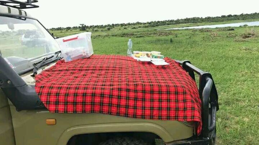 Safari in Tanzania