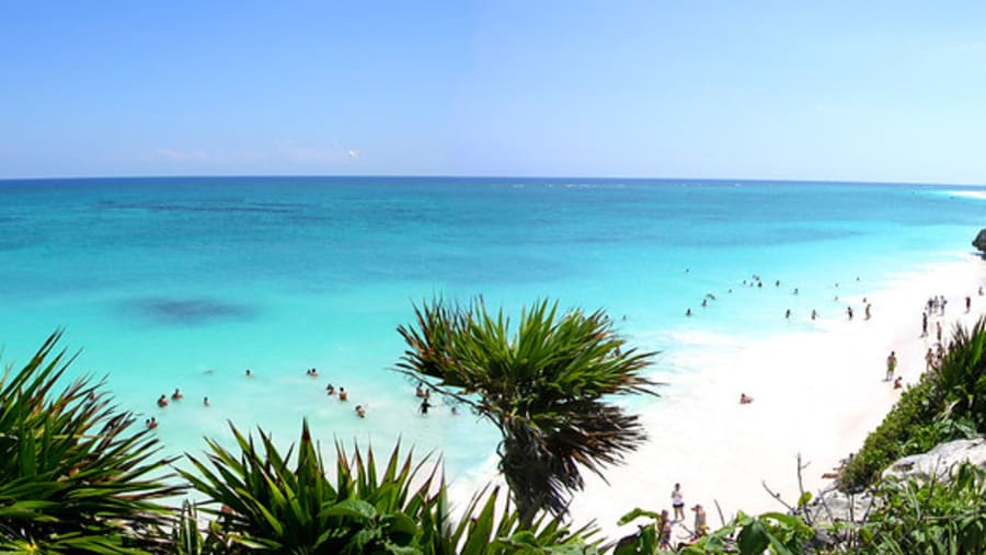Swim in the Pristine Blue Cenotes of Tulum