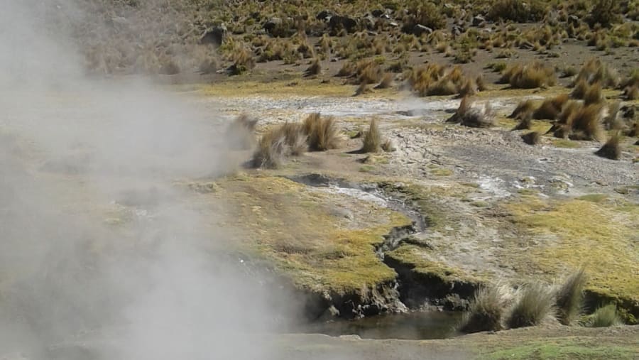 Sajama National Park
