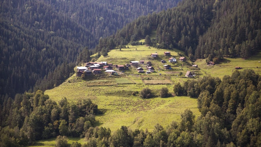 Village Qumelaurta Georgia