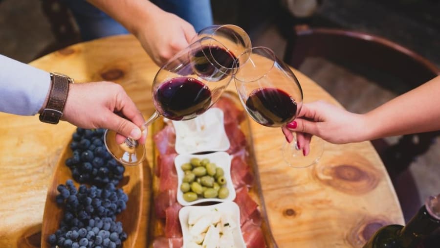 Montenegro Wine Tasting - Monte Mare Travel