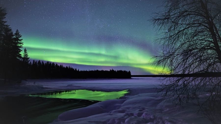 Aurora
