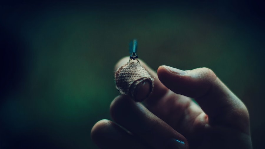 Fireflies Sighting