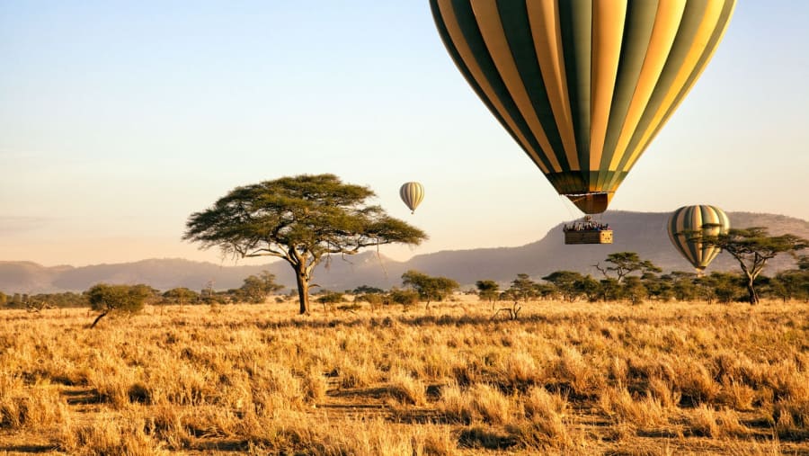 Ruaha Balloon Safari
