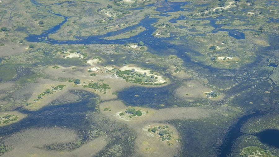 Okavango Delta