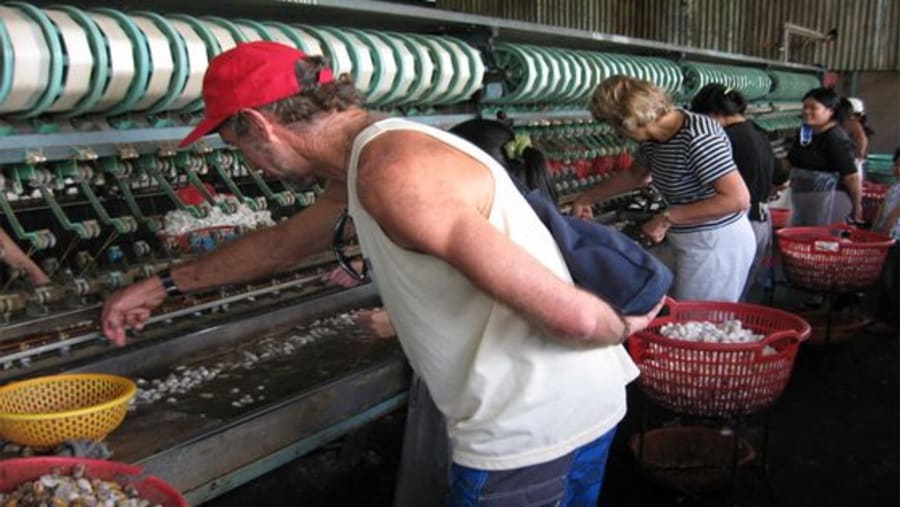Silk factory