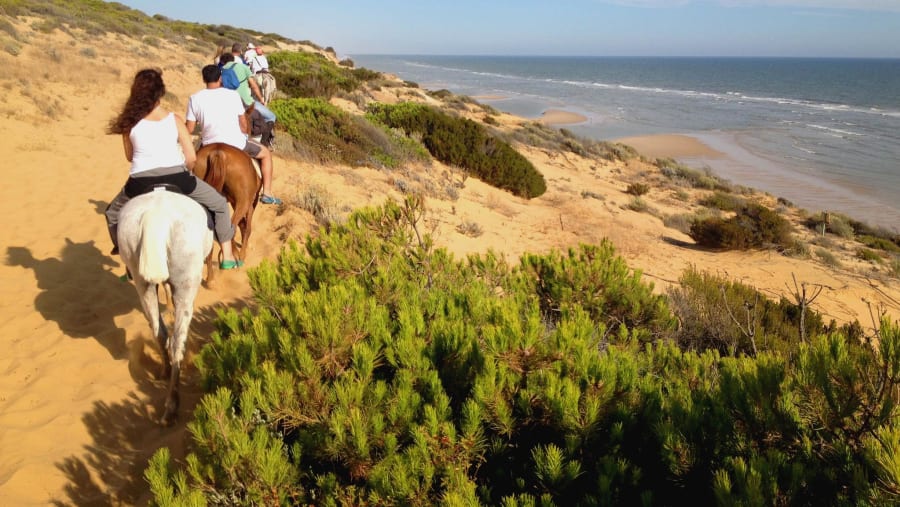 Horse Riding at the Donana National Park