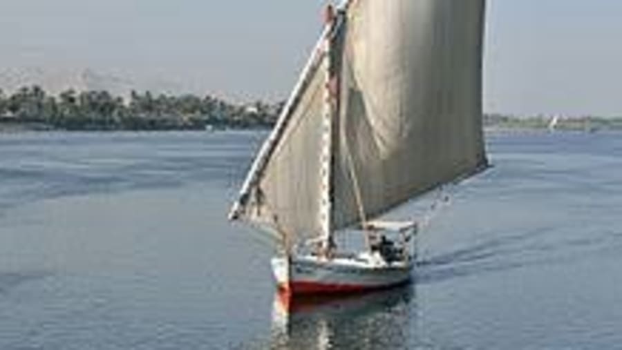 Felucca