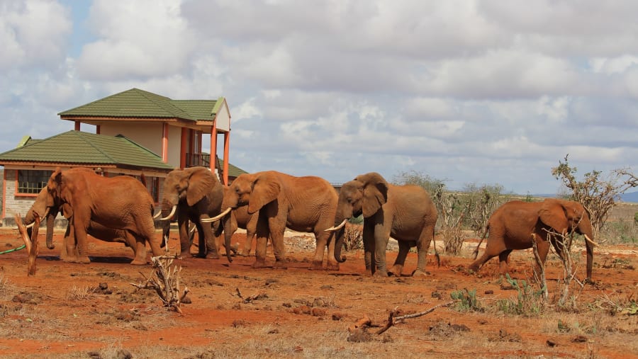 Tarangire National Park