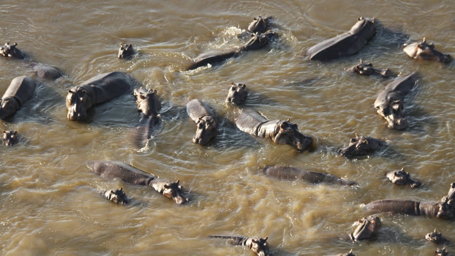 OKAVANGO DELTA