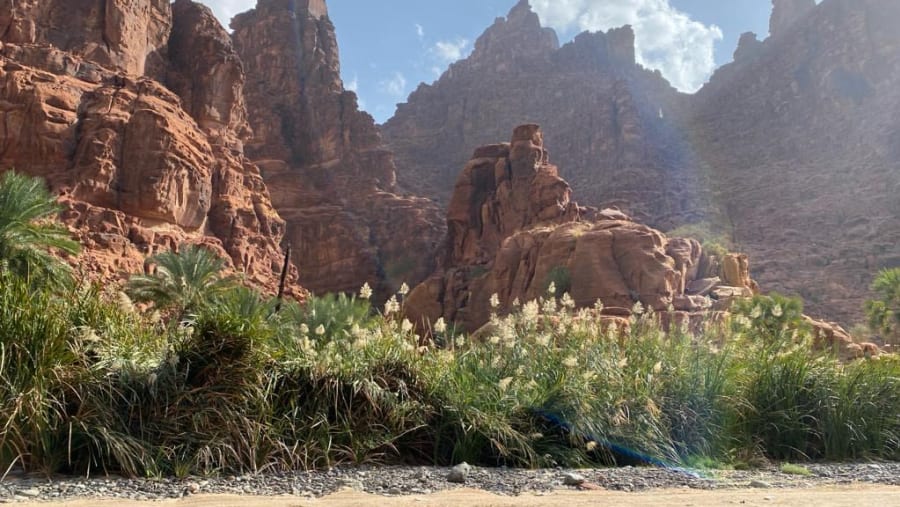 Wadi Al Deesh