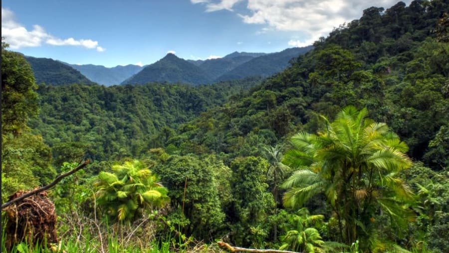 Mindo Nambillo Cloud forest reserve
