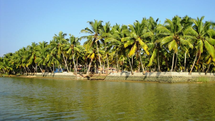 Poovar Backwaters