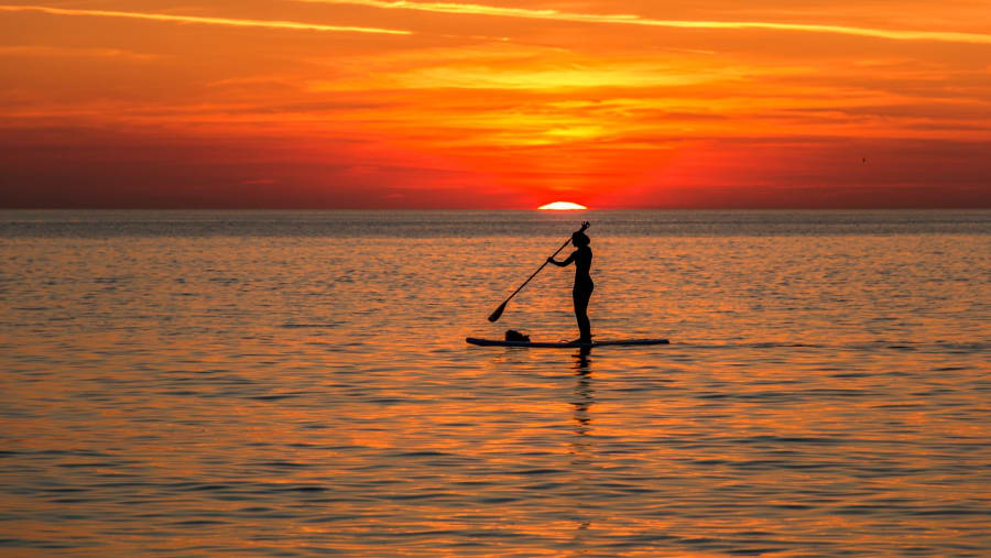 Stand Up Paddle Board Tour